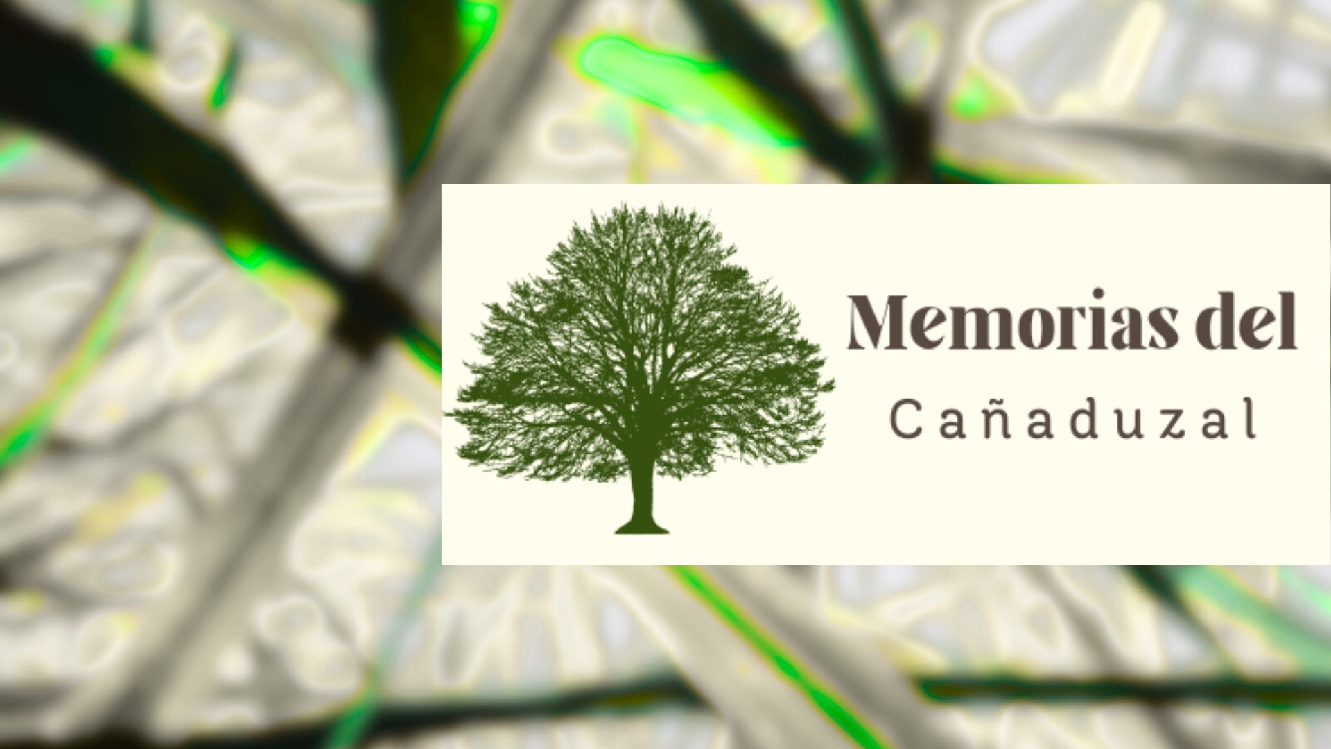 Un árbol con el título "Memorias del Cañaduzal" con un fondo difuminado de caña detrás de él.